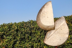 la-casa-degli-ulivi-0085